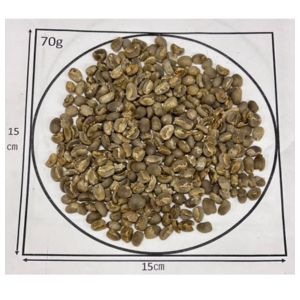 5/1�� �ޥ�ǥ�󡦥��ȥ󡦥��꡼�󥲥å�����Newcrop24/25