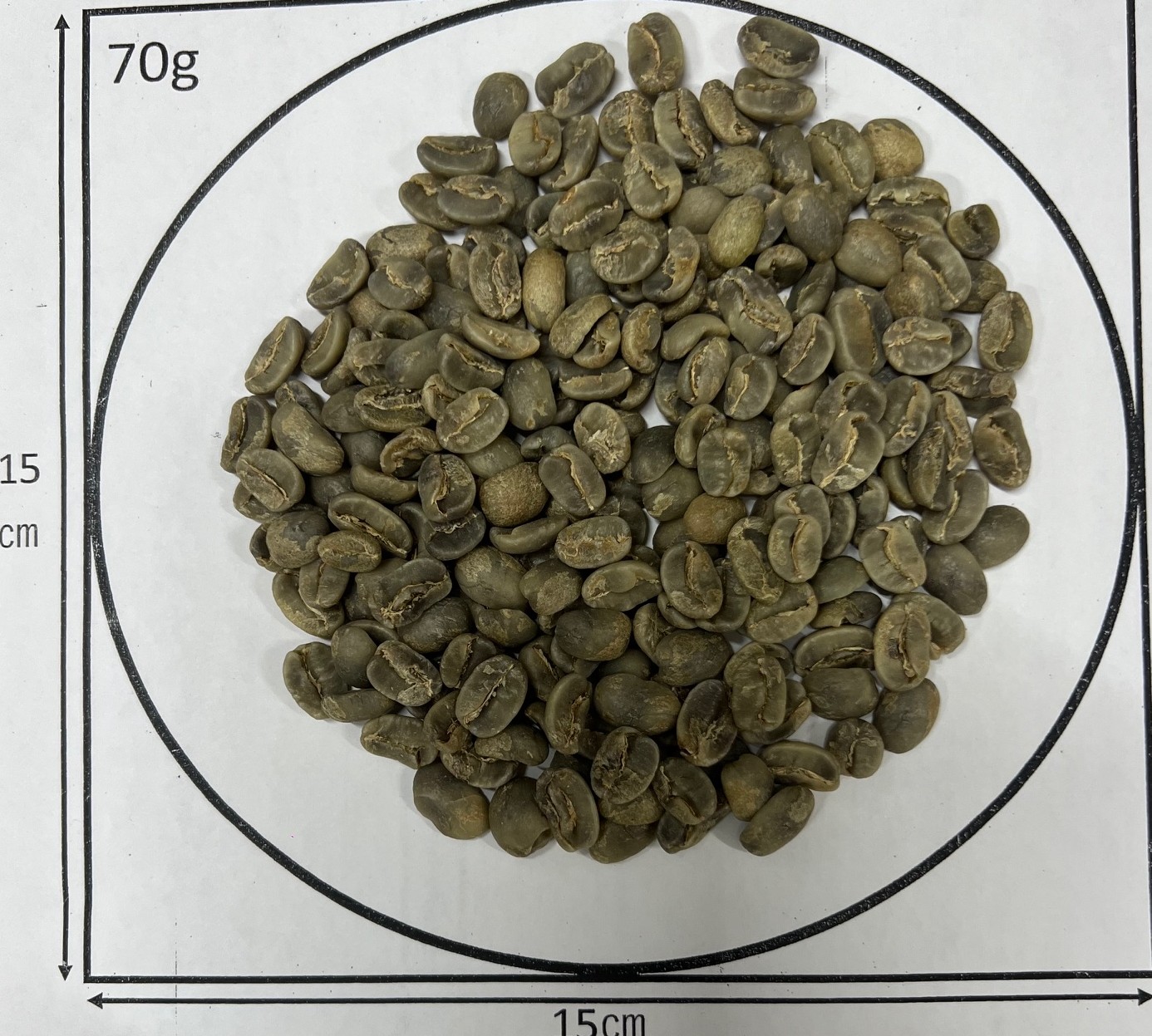 �ڿ����ʡۥ˥��饰�������ƥ��ꥹ�����ࡦ�ѥ��ޥ顦�饤�ॷ�� 24/25