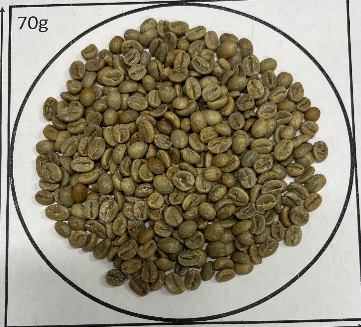 �ߥ��ޡ����������ɥĥ꡼��Natural   25/26