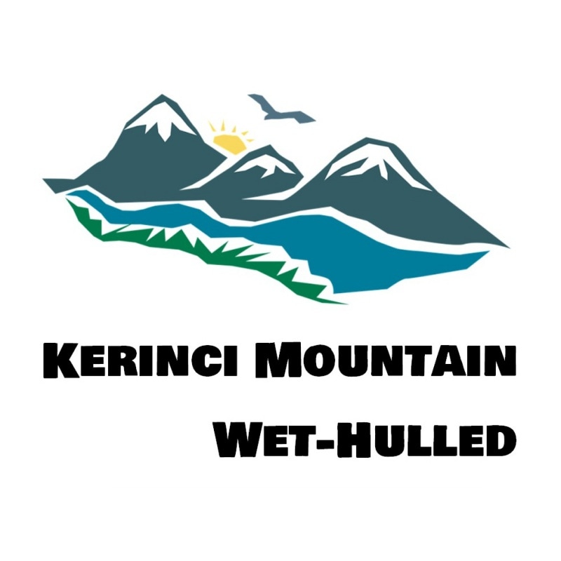 5/1�� ���ޥȥ��硦���������ޥ���ƥ� �������ν��໳�������̥��åȡ�23/24