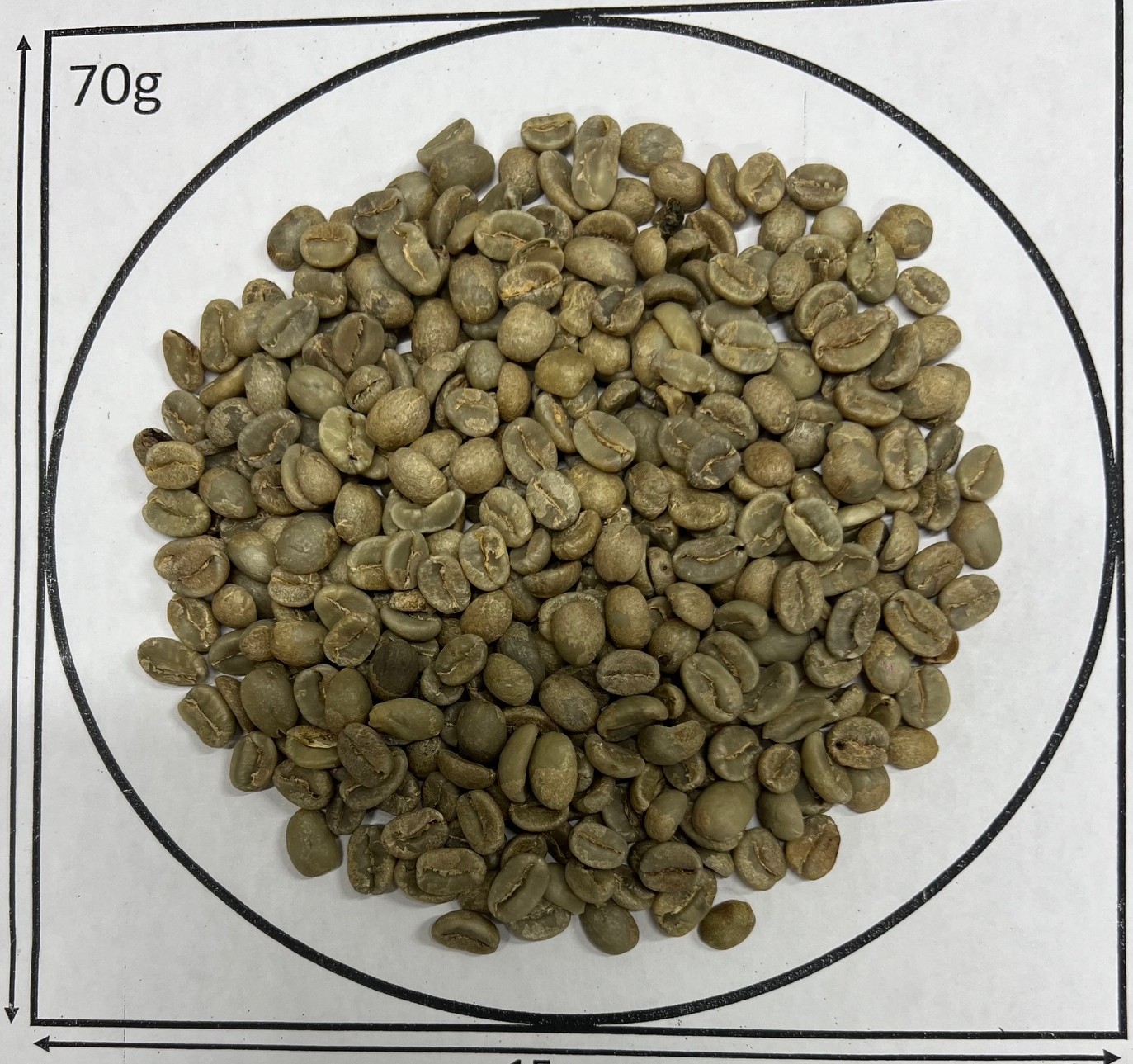 �����λ��ϡ�  �٥ͥ�����͢������ץ���������  �९���������ġ��� Fully Washed (25/26)