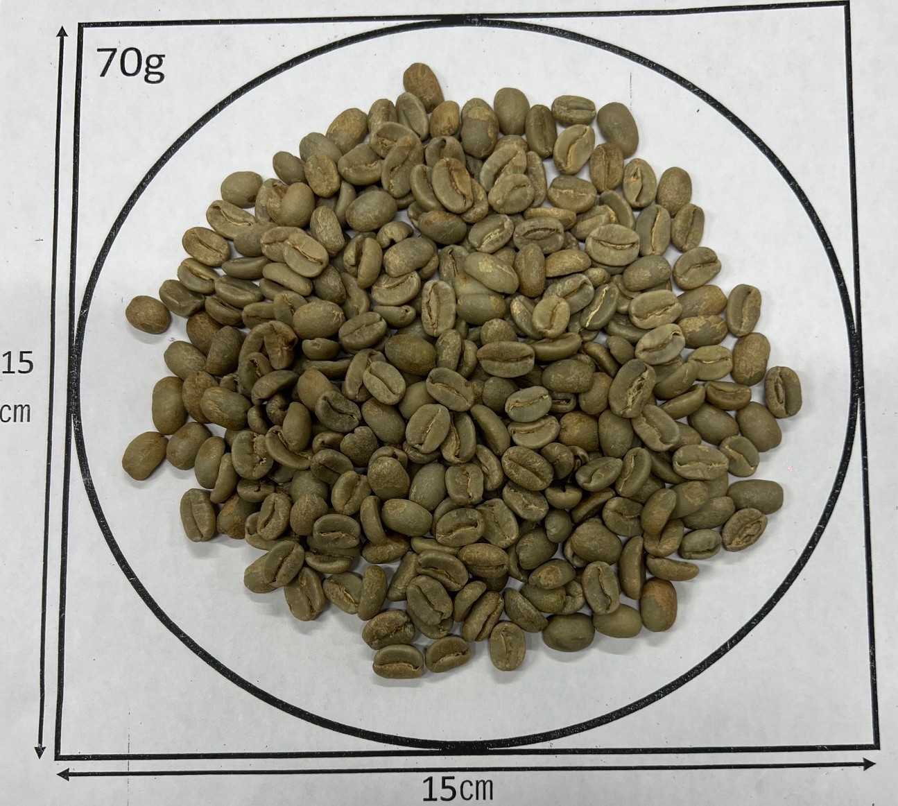 �ѥץ��˥塼���˥���ŷ���ο�����ƻ���Υ����ҡ� 25/26