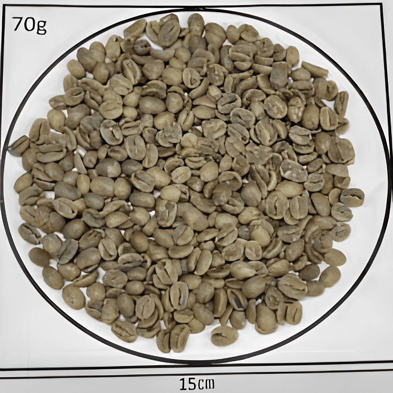 5/20�� ��ƥ��⡼�롦������ե���Washed  24/25crop