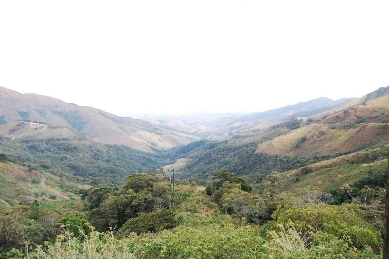 12/26�� �֥饸�뎥���ե��������ڥ�� Natural��24/25