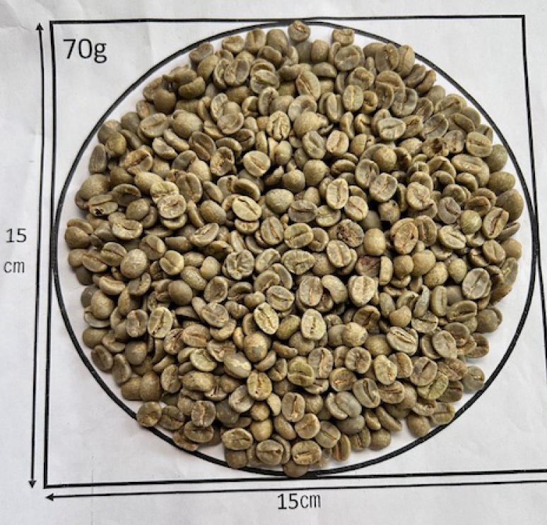 12/26�� �֥饸�뎥���ե��������ڥ�� Natural��24/25