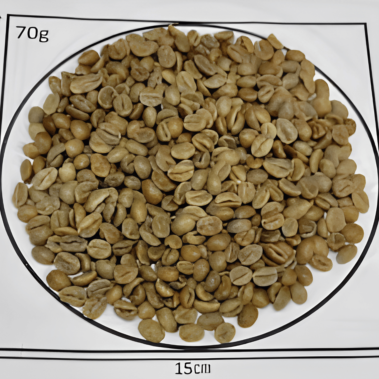 5/20�� ��ƥ��⡼�롦������ե��� Natural  24/25crop