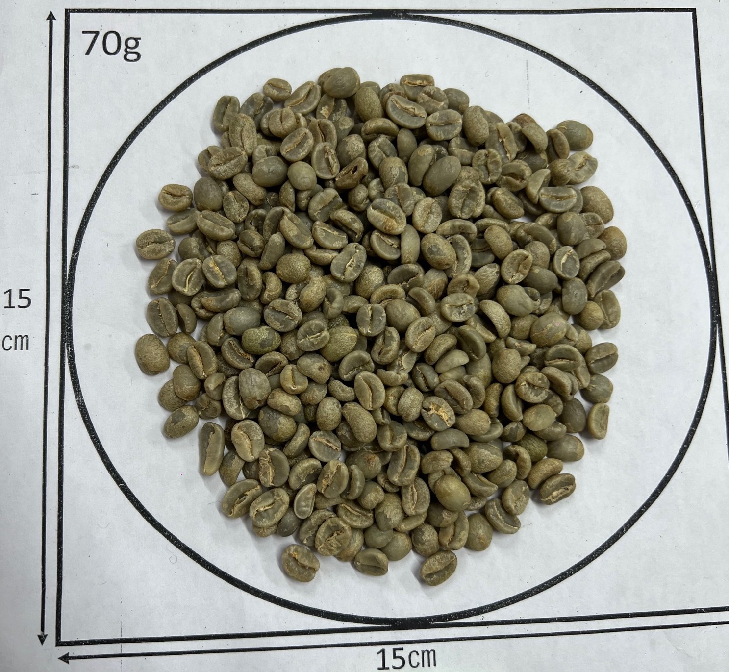 ���󥶥˥�������ޥ󥸥�������󥸥����� AB Fully Washed��24/25