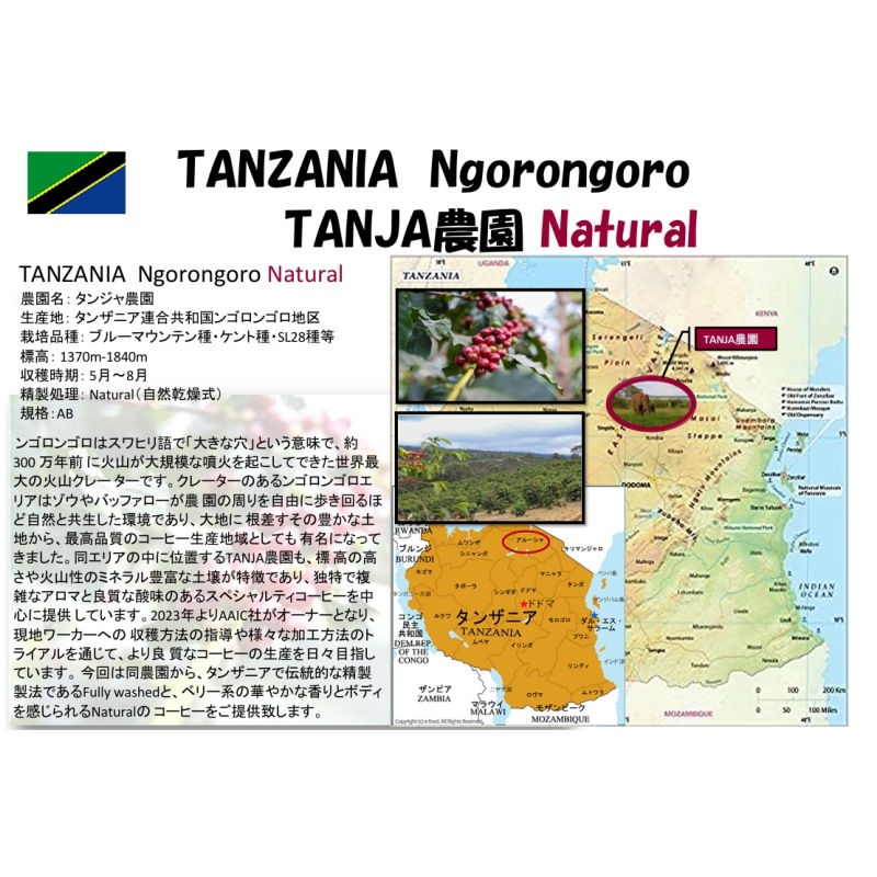 5/1 󥶥˥ޥ󥸥󥸥 AB Natural 23/24