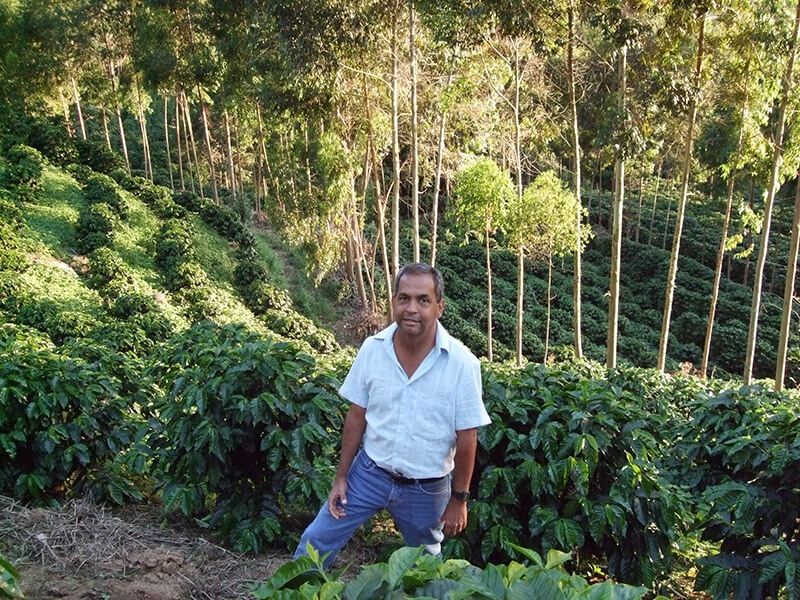 1/9�� ������顼�ɡ�NewCrop 25/26