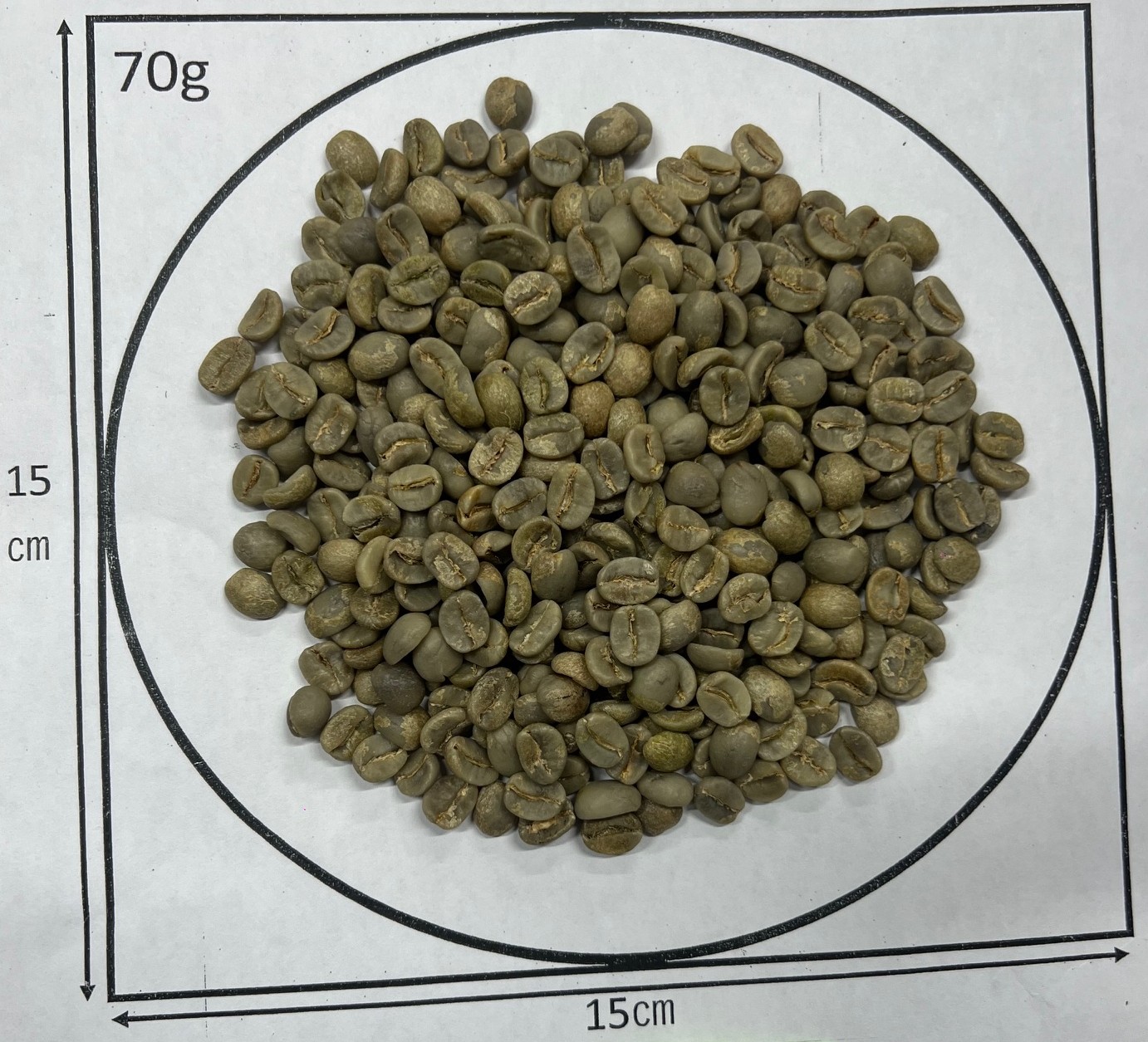 1/9�� ������顼�ɡ�NewCrop 25/26