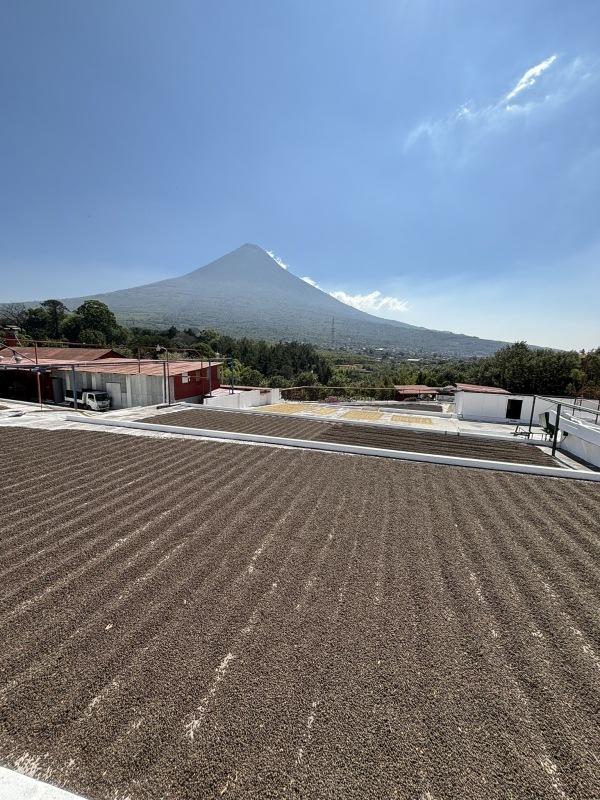 ƥޥ顦ƥ롦ڥƥ 22/23Washed