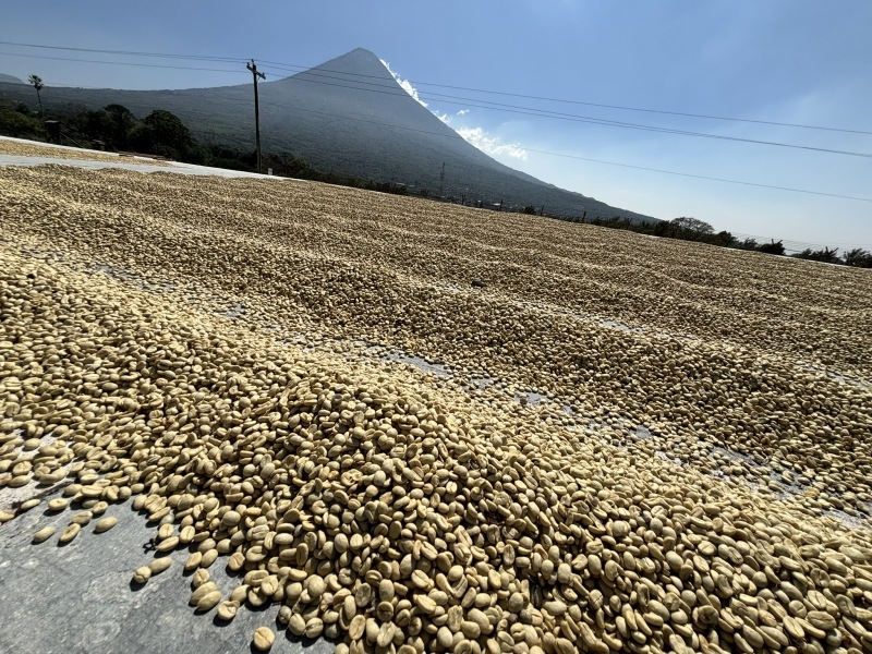 ƥޥ顦ƥ롦ڥƥ 22/23Washed