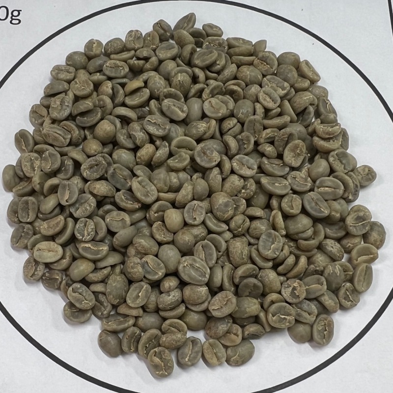 ƥޥ顦ƥ롦ڥƥ 22/23Washed