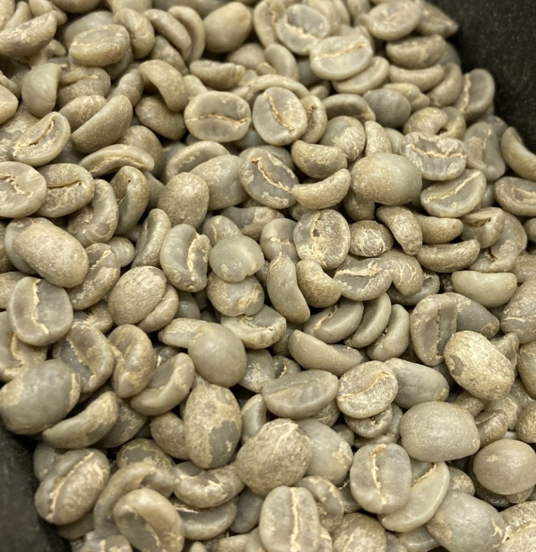 ƥޥ顦ƥ롦ڥƥ 22/23Washed