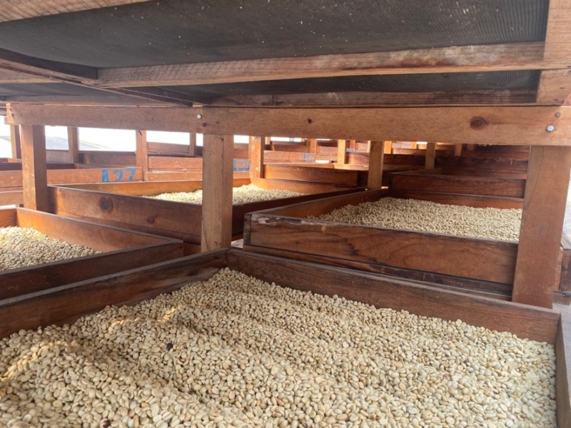 ƥޥ顦ƥ롦ڥƥ 22/23Washed