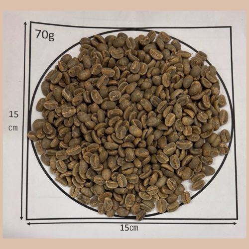 1/6�� �ѥץ��˥塼���˥����ӣԣġ�24/25)��