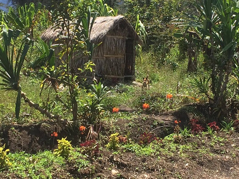 1/6�� �ѥץ��˥塼���˥����ӣԣġ�24/25)��