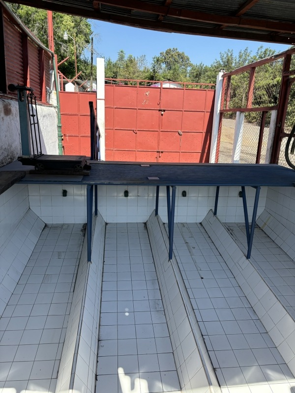 5/1 ƥޥ顦ƥ롦ڥƥ 23/24Washed