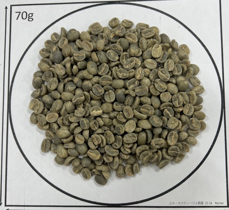 5/1 ƥޥ顦ƥ롦ڥƥ 23/24Washed