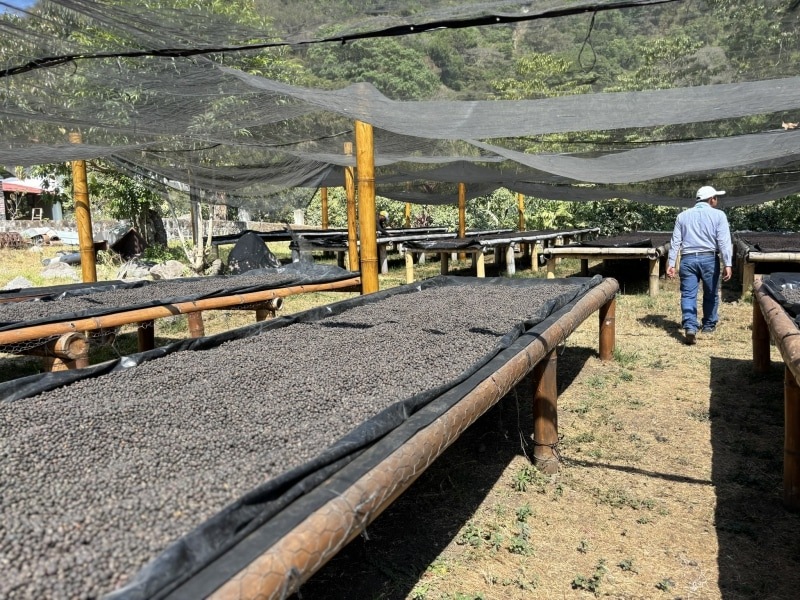 5/1 ƥޥ顦ƥȥ󡦥ɥ˥ Fully Washed 23/24