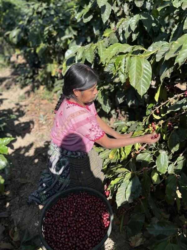 5/1 ƥޥ顦ƥȥ󡦥ɥ˥ Fully Washed 23/24