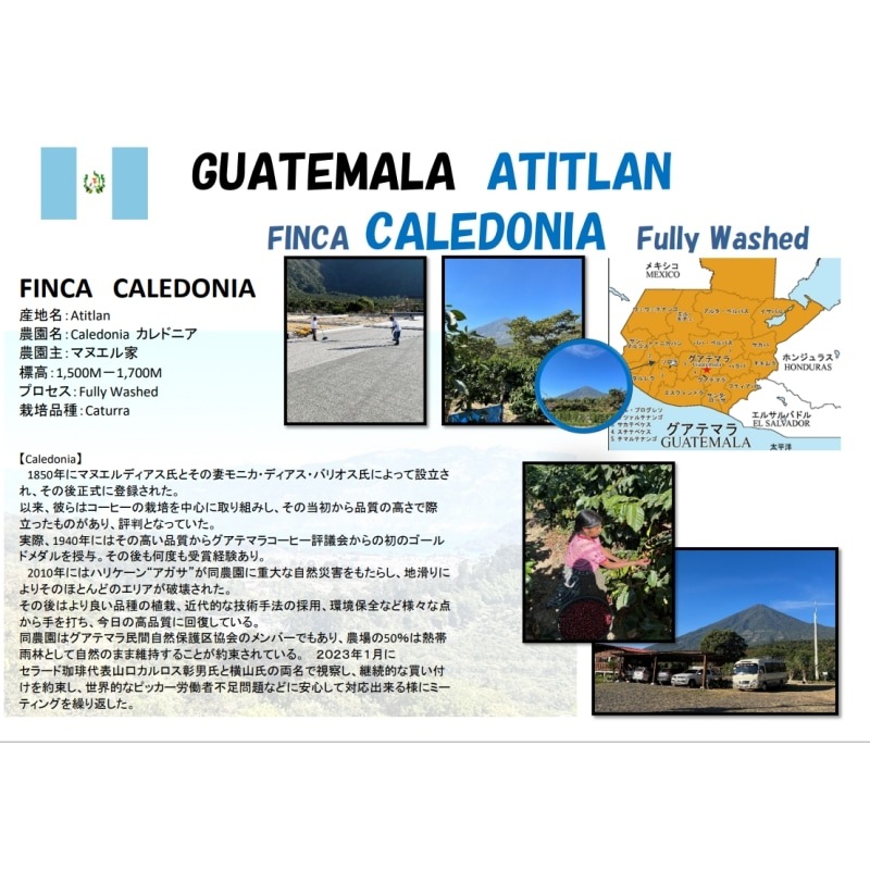 5/1 ƥޥ顦ƥȥ󡦥ɥ˥ Fully Washed 23/24