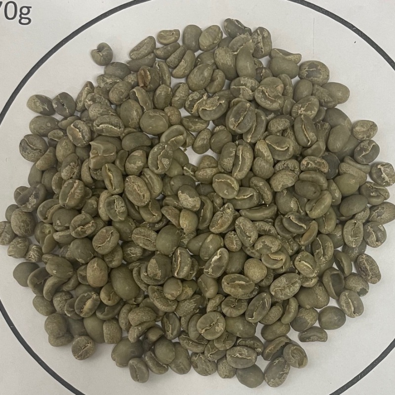 5/1 ƥޥ顦ƥȥ󡦥ɥ˥ Fully Washed 23/24