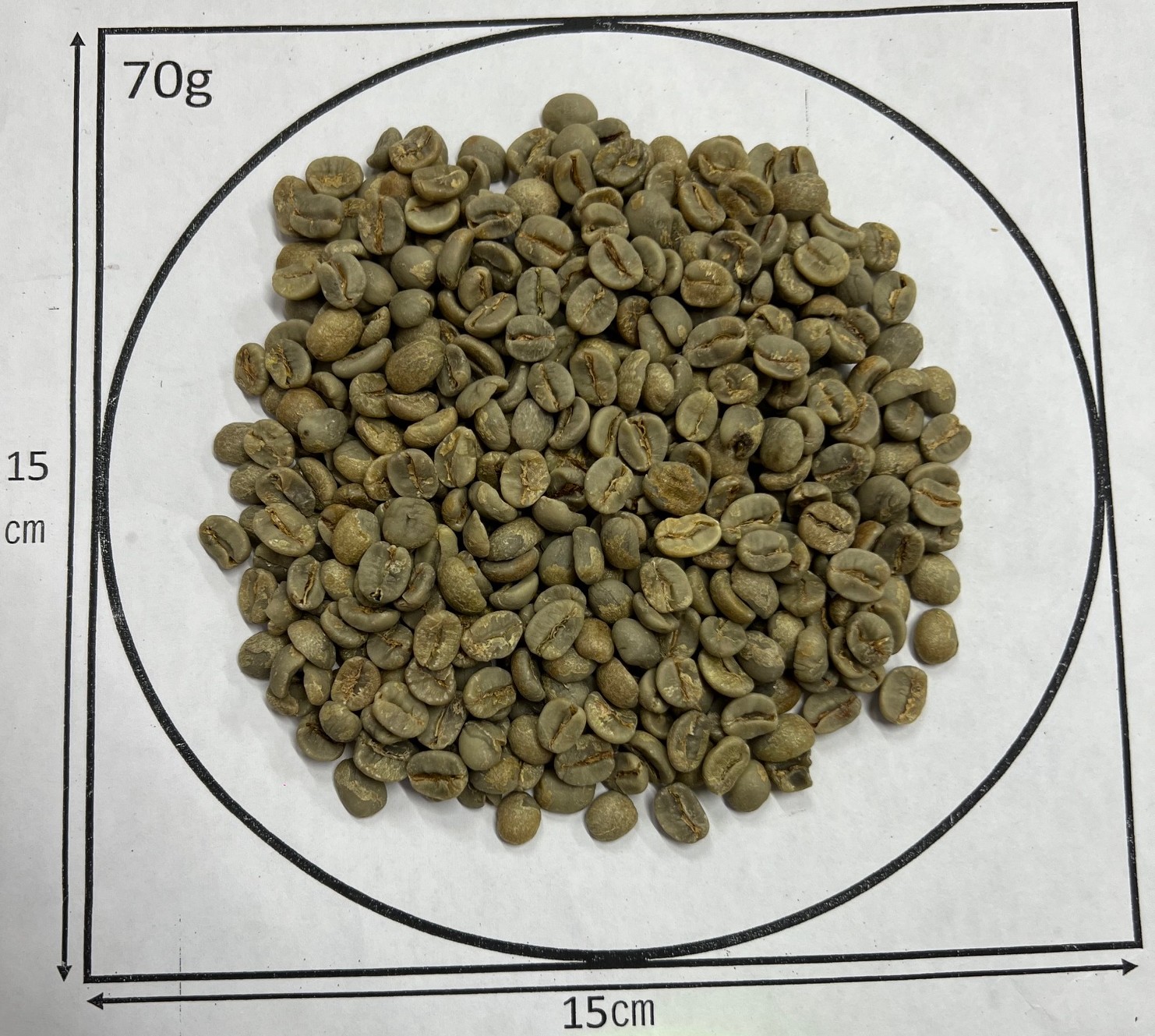 1/6�� ��������֥�ܥ�ŷ������  NewCrop 25/26