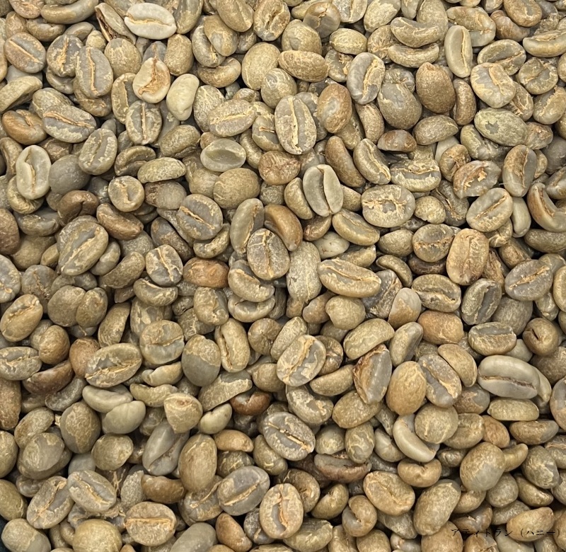 5/1�� �����ƥޥ顦���ƥ��ȥ�󡦥���ɥ˥����� HONEY 22/23