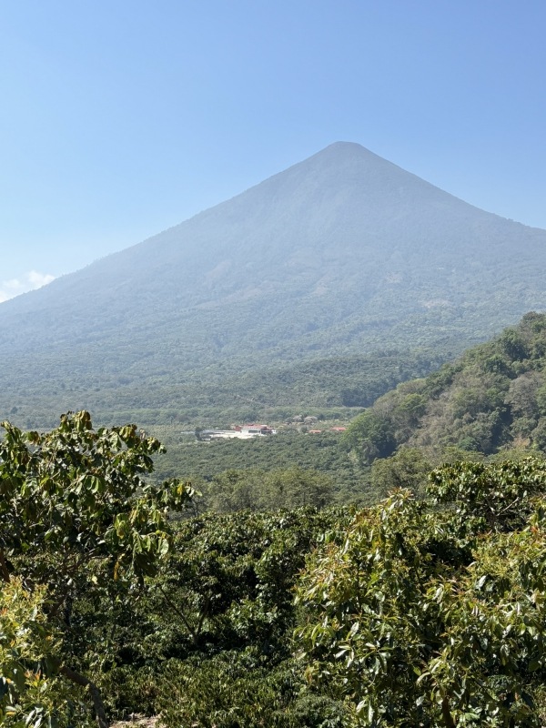 5/1�� �����ƥޥ顦���ƥ��ȥ�󡦥���ɥ˥����� HONEY 22/23