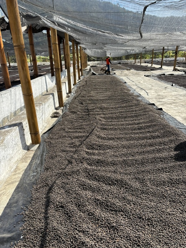 5/1�� �����ƥޥ顦���ƥ��ȥ�󡦥���ɥ˥����� HONEY 22/23