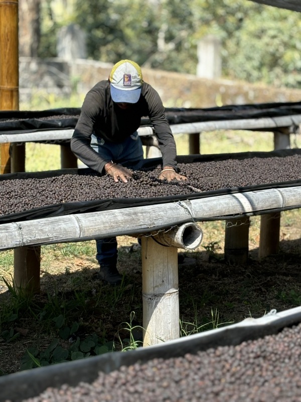 5/1�� �����ƥޥ顦���ƥ��ȥ�󡦥���ɥ˥����� HONEY 22/23