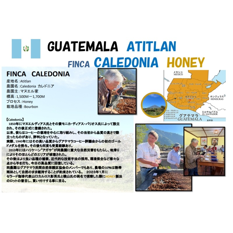 5/1�� �����ƥޥ顦���ƥ��ȥ�󡦥���ɥ˥����� HONEY 22/23