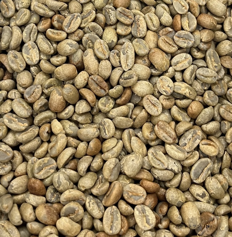 5/1�� �����ƥޥ顦���ƥ��ȥ�󡦥���ɥ˥����� NATURAL 22/23