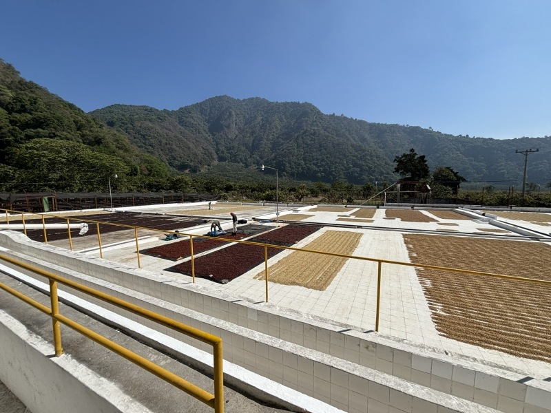 5/1�� �����ƥޥ顦���ƥ��ȥ�󡦥���ɥ˥����� NATURAL 22/23