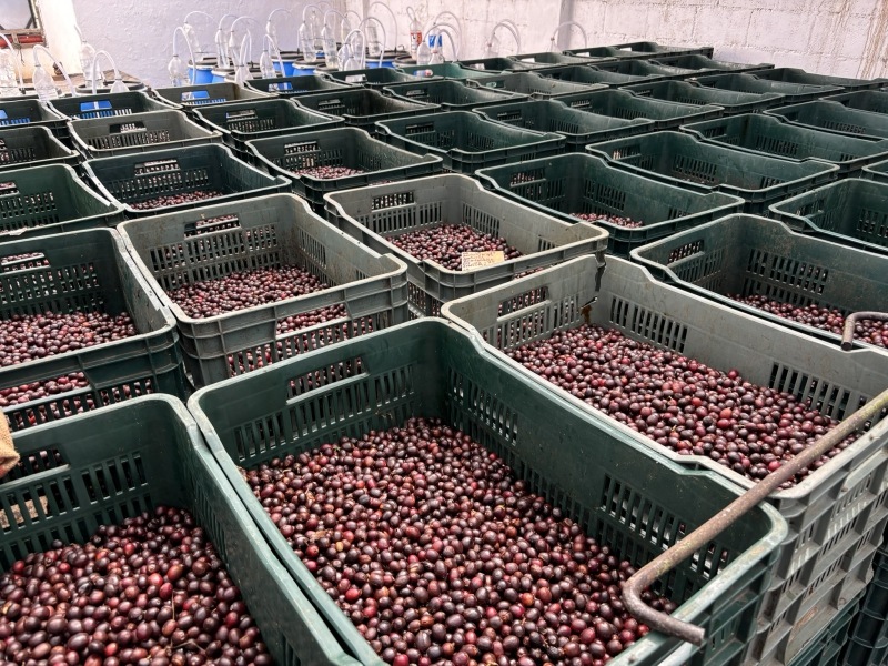 5/1�� �����ƥޥ顦���ƥ��ȥ�󡦥���ɥ˥����� NATURAL 22/23