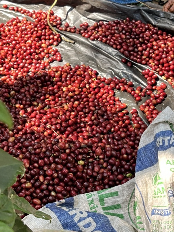 5/1�� �����ƥޥ顦���ƥ��ȥ�󡦥���ɥ˥����� NATURAL 22/23