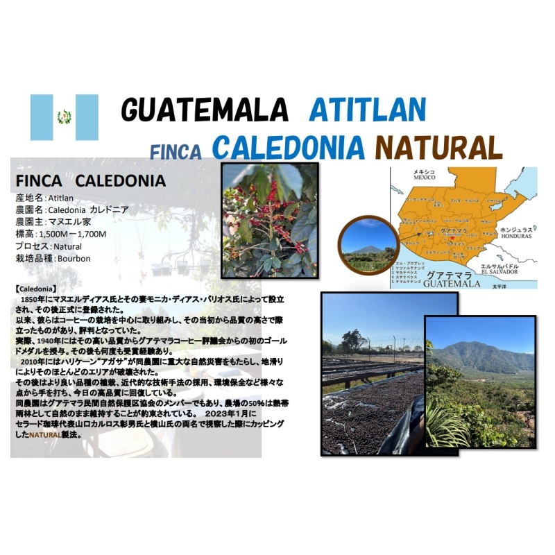 5/1�� �����ƥޥ顦���ƥ��ȥ�󡦥���ɥ˥����� NATURAL 22/23