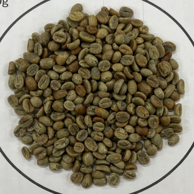 5/1�� �����ƥޥ顦���ƥ��ȥ�󡦥���ɥ˥����� NATURAL 22/23