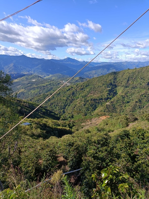 ������ӥ������������ޥ���꡼�ʡ������å�Fully��Washed��25/26)