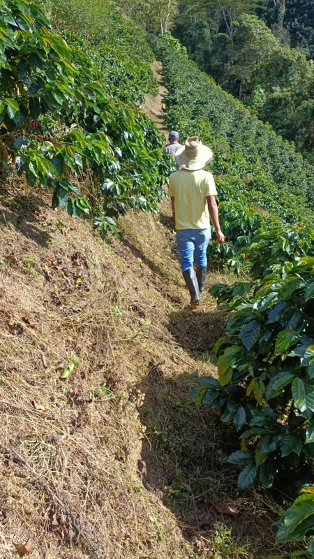 ������ӥ������������ޥ���꡼�ʡ������å�Fully��Washed��25/26)