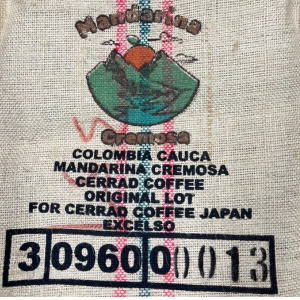 ������ӥ������������ޥ���꡼�ʡ������å�Fully��Washed��25/26)