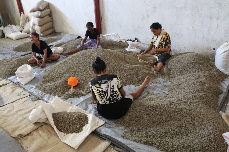 5/1 ƥ⡼롡ϥҥޥ24/25