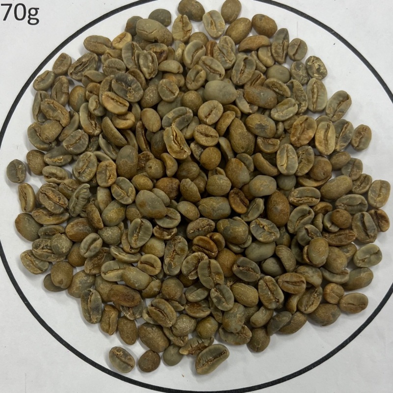 ޥåȡѥޥʼѥ󥿥ࡦAnaerobic Natural 23/24