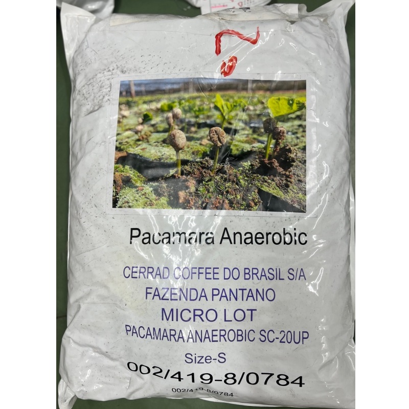 ޥåȡѥޥʼѥ󥿥ࡦAnaerobic Natural 23/24