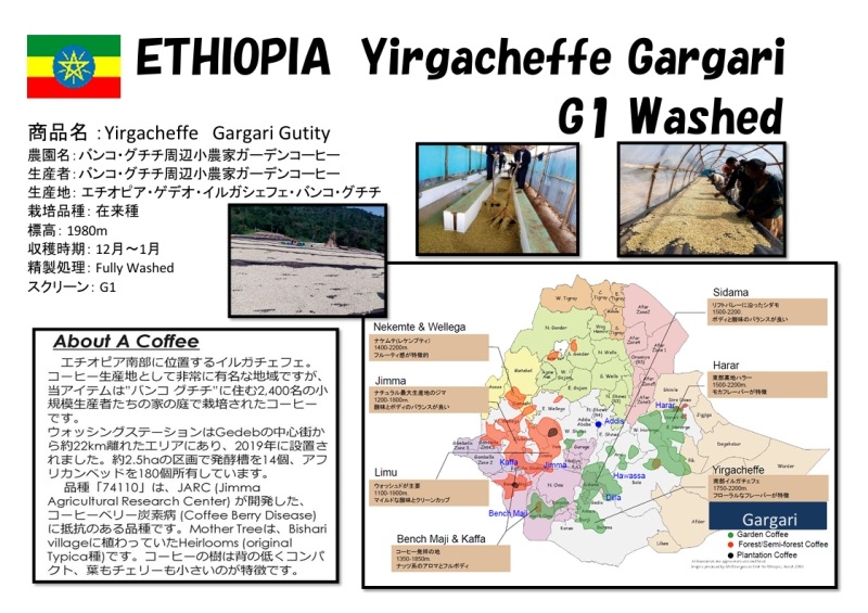 5/1 ԥ륬ե륬 G1 Washed 22/23