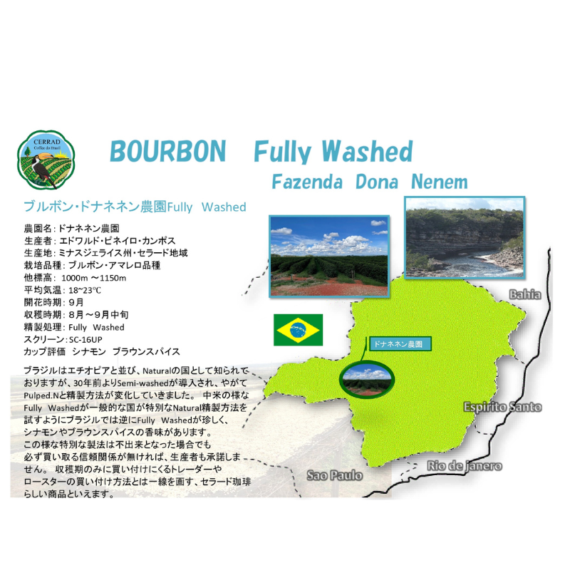 �֥�ܥ󡦥ɥʥͥͥ�����Fully Washed��24/25