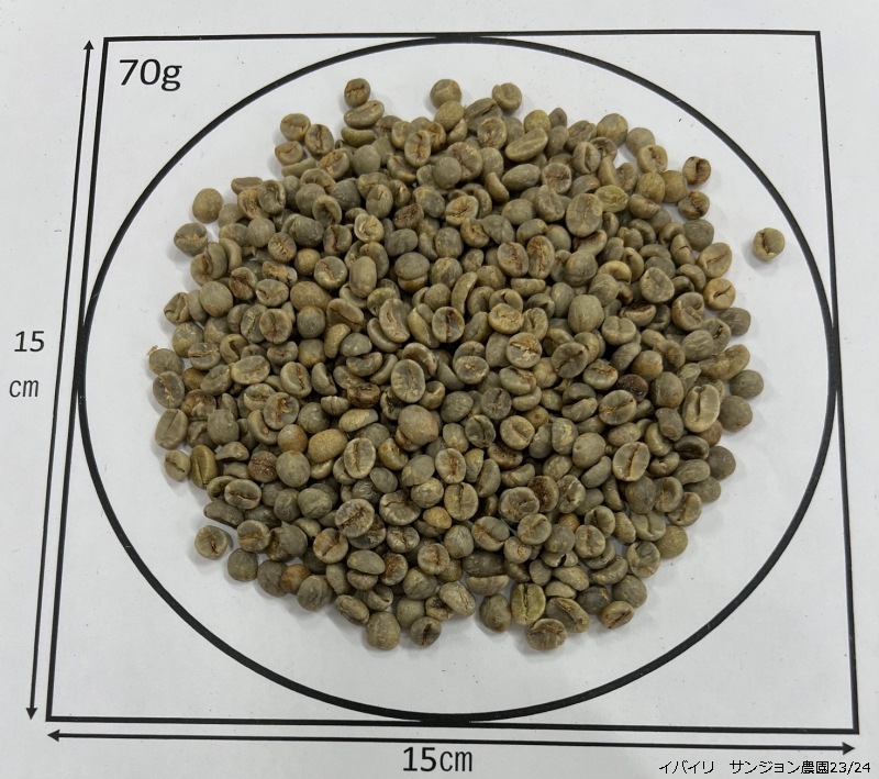 5/1�� ������ʼ磻�Х��� ���󥸥�����ࡡ23/24