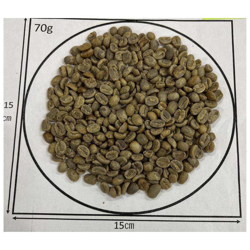 5/1 ڥ롼ŷΥҡХзë 24/25Newcrop