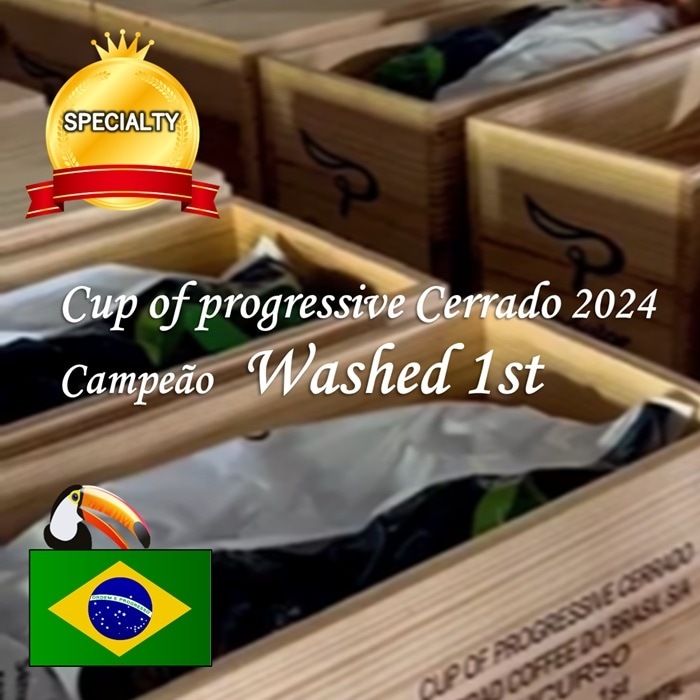 2024ǯCup of Progressive Cerrad Washed 1 ͥåȡ